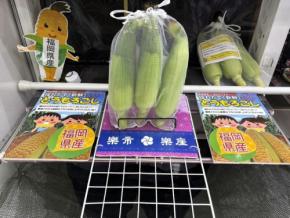 アミューズメント施設「楽市楽座」で生のとうもろこしが景品に！九州の一部店舗で期間限定展開