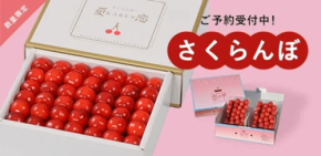 JAタウン「いわて純情セレクト」で、糖度と着色度にこだわった佐藤錦・紅秀峰の限定販売開始