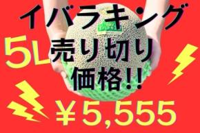 茨城が誇るメロン「イバラキング」5Lサイズがお得に!JAタウンで最終売り切り価格販売