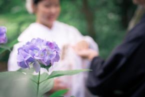 【INAI WEDDING WASOU大阪店】大阪城公園での和装前撮りが6月・7月限定で31,000円OFF！