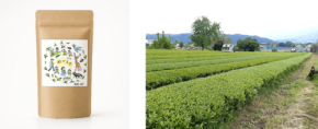 マイファーム、神奈川県愛川町産初の有機JAS認定一番茶「めでる茶」を販売開始