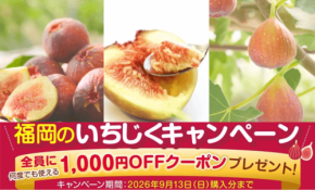 福岡県産いちじく購入で1000円クーポンプレゼント!JAタウンでキャンペーン実施中