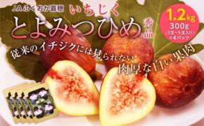 福岡県嘉麻市のふるさと納税返礼品に「いちじく とよみつひめ」が登場