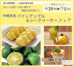 「沖縄県産パインアップル＆シークヮーサーフェア」みのりカフェ・みのる食堂銀座三越で開催