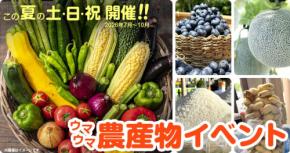 道の駅木更津 うまくたの里で農産物詰め放題イベントを7月から開催
