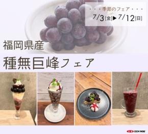 福岡県産種無巨峰フェアが直営飲食店舗で7月3日から開催