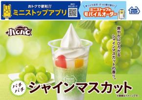 ミニストップのハロハロ新作はシャインマスカットとパチパチキャンディの刺激
