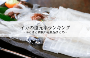 ふるさと納税でもらえるイカの還元率ランキングを発表