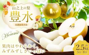 岐阜県美濃加茂市の特産品「山之上の梨」がふるさと納税の先行予約に登場