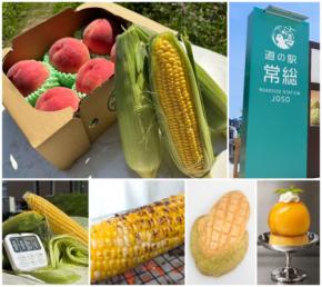 道の駅常総で旬の味覚を楽しむ「初夏のあまぁ~い収穫祭」開催