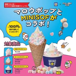 ソフトクリーム専門店ミニソフが韓国発乾燥マシュマロ「マロウポップ」とコラボ