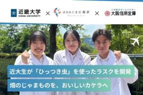 喜界島の強害草が特産品に。学生が開発した「センダングサ」のラスクが登場