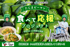 たじまピーマン食べて応援プロジェクトが始動、ケンミン食品が初協賛