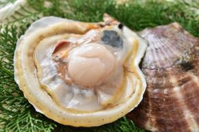 岩手県産食材を当日中に大阪へ、航空と新聞輸送を活用した物流実証