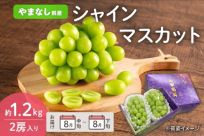 フルーツ王国やまなしが贈る旬のぶどう予約販売開始