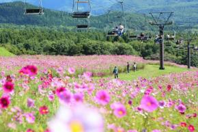 長野県・黒姫GREENGARDENが2026年サマーシーズン営業を開始