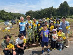 富士山麓でひまわりが地域をつなぐ「高嶺の花ひまわりロード」始動