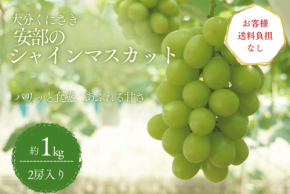 大分のシャインマスカットが送料無料に、JAタウンでキャンペーン開始