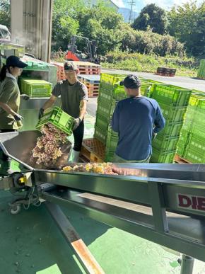 勝沼醸造の売店スタッフが厳選した樽ワインセットが登場
