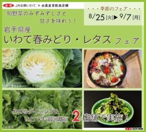 岩手県産キャベツとレタスの魅力を堪能できるフェア開催