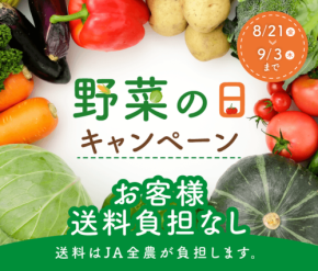 JAタウンが全国の旬野菜を送料無料で届ける野菜の日キャンペーンを開催