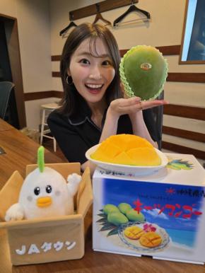 沖縄県産キーツマンゴーが特別価格に ラジオ番組との連動キャンペーン