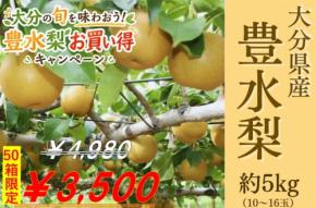 大分の豊水梨をお得に直送、JAタウンで販売開始