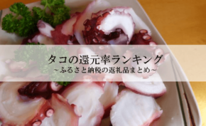 ふるさと納税「タコ」還元率ランキング発表