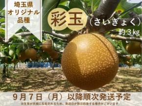 埼玉県オリジナル梨「彩玉」の予約販売がJAタウンでスタート