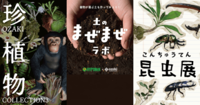 オザキフラワーパークが「夏の自然体験イベント」を開催