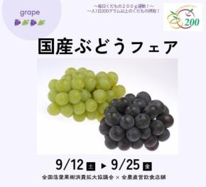 JA全農の直営店舗で国産ぶどうフェア開催