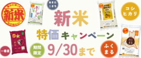 JAタウンのショップ「いいものいっぱい広場」で茨城県産新米特価キャンペーン開催