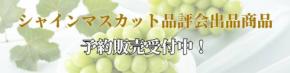 山形県産シャインマスカット品評会の受賞商品がJAタウンで予約販売開始