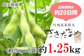 埼玉県行田市の希少な枝豆「さきたまめ」が予約販売開始