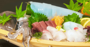夕日ヶ浦温泉の一望館で秋の味覚を堪能する活け〆あおりいか会席