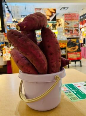 Pasar幕張で千葉県産さつまいもを満喫する秋の特別企画