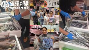 漁港の駅TOTOCO小田原で鮮魚の詰め放題イベント開催