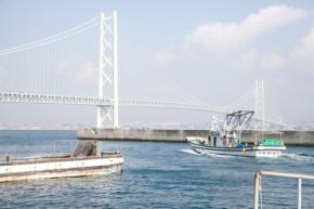 提供数64万食突破の「淡路島の生しらす」シーズン終盤の魅力