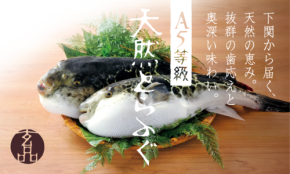 とらふぐ料理専門店「玄品」が「A5等級 天然とらふぐコース」の提供を全店へ拡大