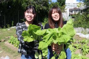 四天王寺大の学生が伝統野菜「大阪しろな」を使ったクラフトビールを開発