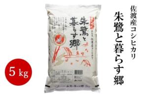 佐渡の恵みを直送!JAタウンでコシヒカリや柿などの送料負担なしキャンペーン実施中
