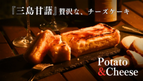 洋菓子店blueberryが新作チーズケーキを応援購入サービスMakuakeで販売開始!