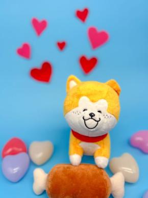 待望の「秋田犬たれみみだいちゃんぬいぐるみ」発売記念イベント開催、ハチふるSHIBUYAでもてなし三昧