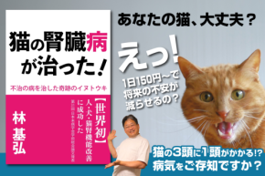 腎臓病用サプリの効果を集結した書籍『猫の腎臓病が治った!~不治の病を治した奇跡のイヌトウキ~』、Laule'a出版よりリリース