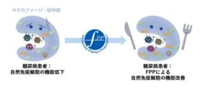パパイヤ発酵食品「FPP」が2型糖尿病患者の免疫機能向上を促進する新たな研究結果で米国特許取得