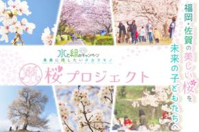 KBC九州朝日放送、「桜プロジェクト」を開催 - ふるさとの自然保全にクラウドファンディングで挑戦