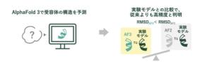 芝浦工業大学の研究チームがAIを用いた苦味受容体の構造予測で画期的な成果を発表