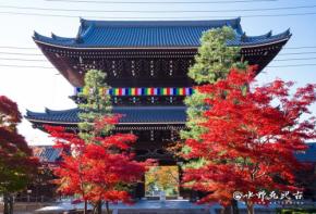 金戒光明寺、秋の特別拝観と夜間ライトアップを特別公開
