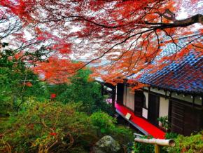 秋の特別拝観がスタートする京都「霊鑑寺」