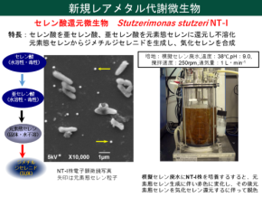 芝浦工業大学とケー・エフ・シー、廃太陽光パネルからのセレン再資源化に成功